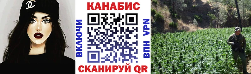 Купить где  Называевск  Каннабис OG Kush 